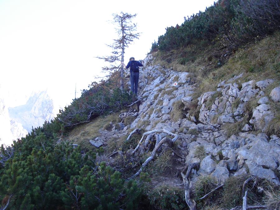 schneibstein029.jpg