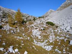 schneibstein087.jpg