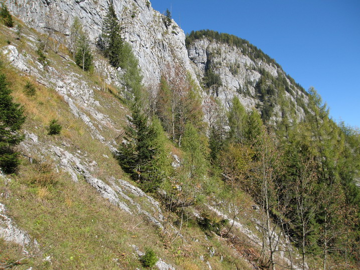 rinnkendl034.JPG
