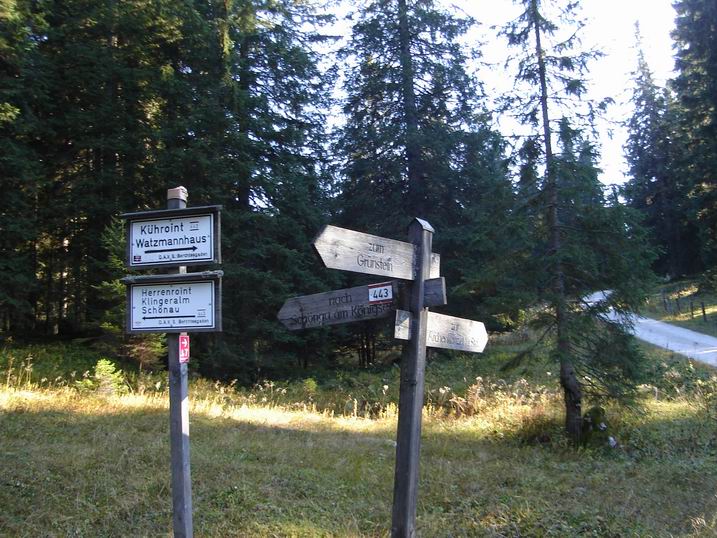 rinnkendl098.JPG