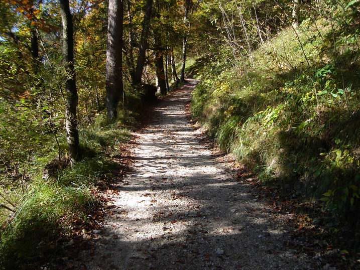 tonilenz04.JPG