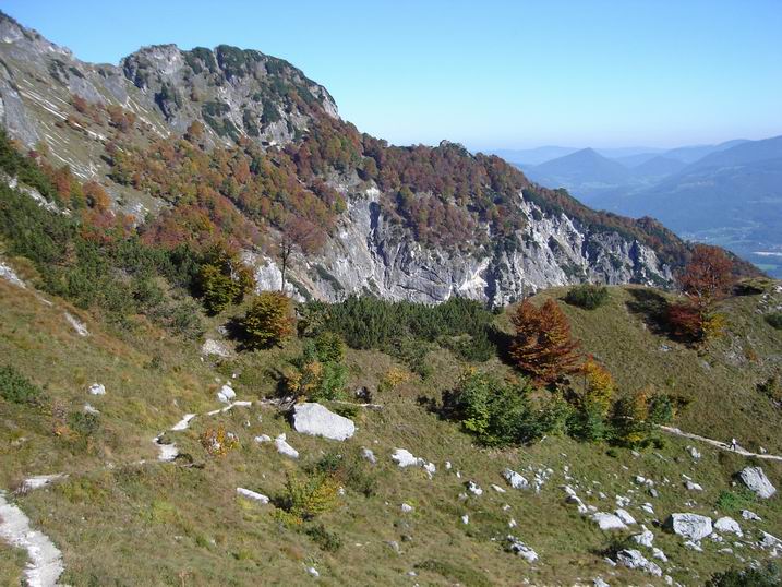 tonilenz18.JPG