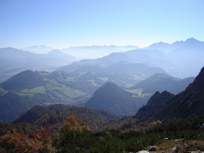 tonilenz19.JPG