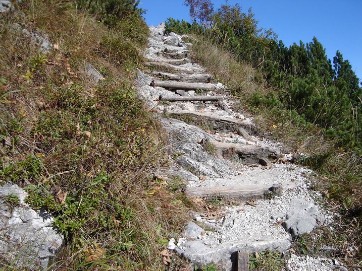 tonilenz20.JPG