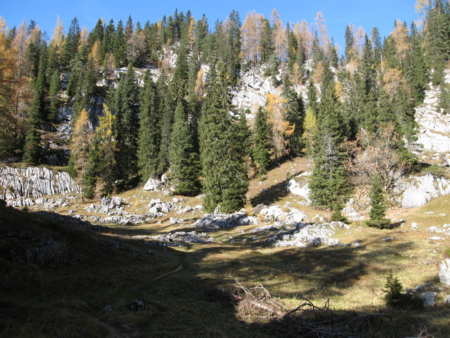 Traunsteinerh07.JPG