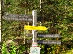 Traunsteinerh01.jpg