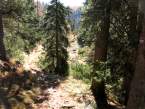 Traunsteinerh08.JPG