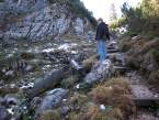 Traunsteinerh10.JPG