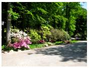 kurpark10.JPG
